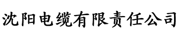 无恒影视电缆厂logo